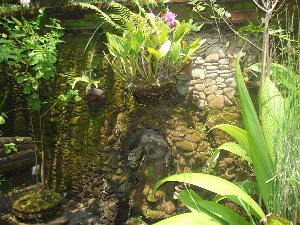 Villa Semana Resort Ubud Zewnętrze zdjęcie