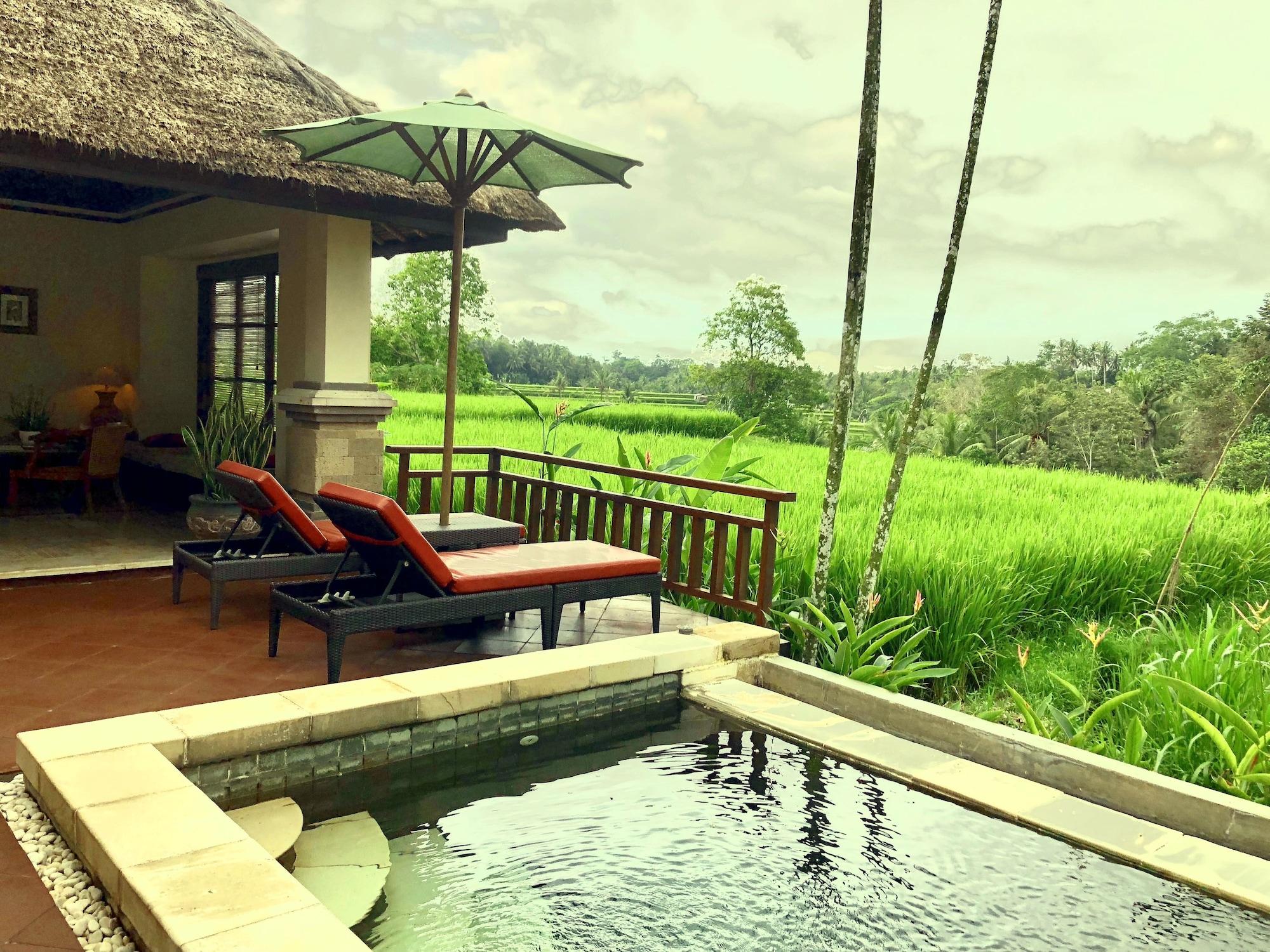 Villa Semana Resort Ubud Zewnętrze zdjęcie