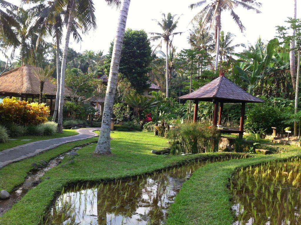 Villa Semana Resort Ubud Zewnętrze zdjęcie
